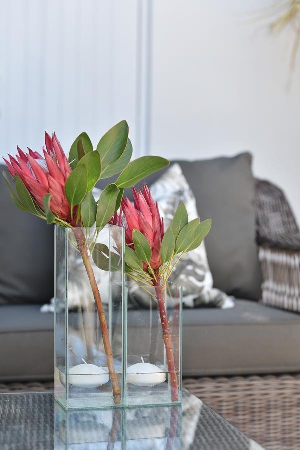 Vilacqua Boutique Guest Villa Plettenberg Bay Kültér fotó