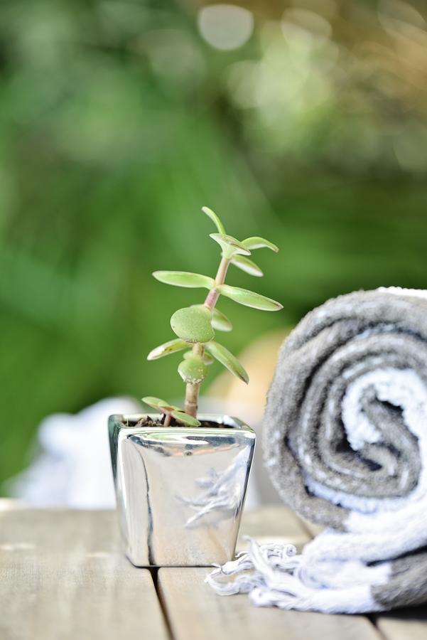 Vilacqua Boutique Guest Villa Plettenberg Bay Kültér fotó