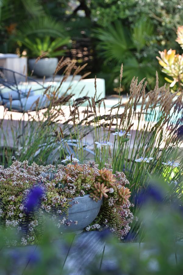 Vilacqua Boutique Guest Villa Plettenberg Bay Kültér fotó