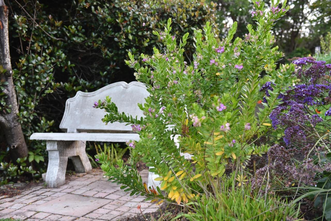 Vilacqua Boutique Guest Villa Plettenberg Bay Kültér fotó