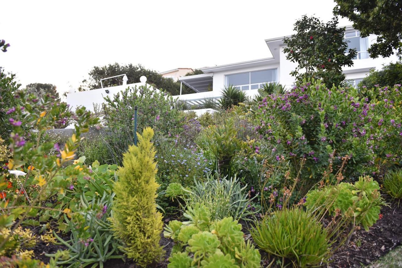 Vilacqua Boutique Guest Villa Plettenberg Bay Kültér fotó